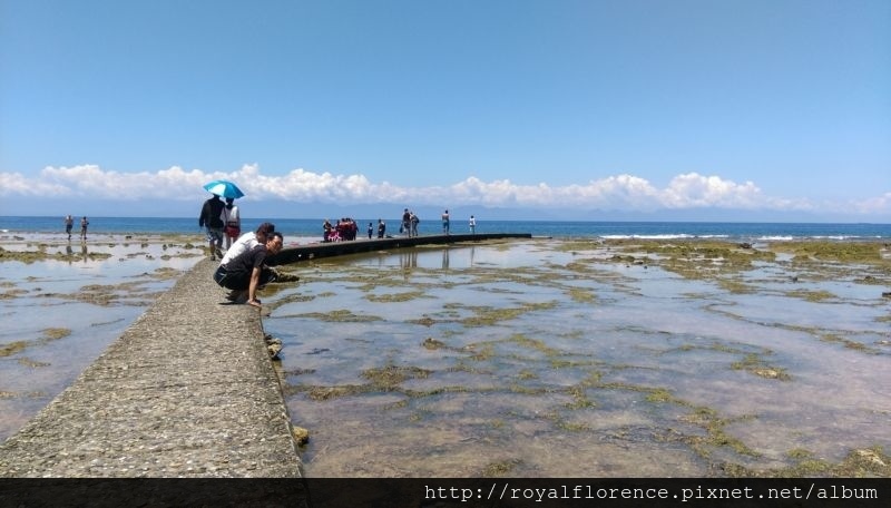 綠島柴口- (3).jpg