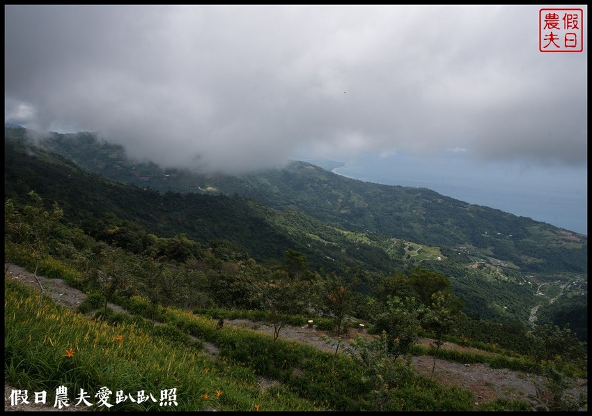 台東景點|太麻里金針山．季節限定的美麗/曙光渡假酒店/半日遊/一日遊