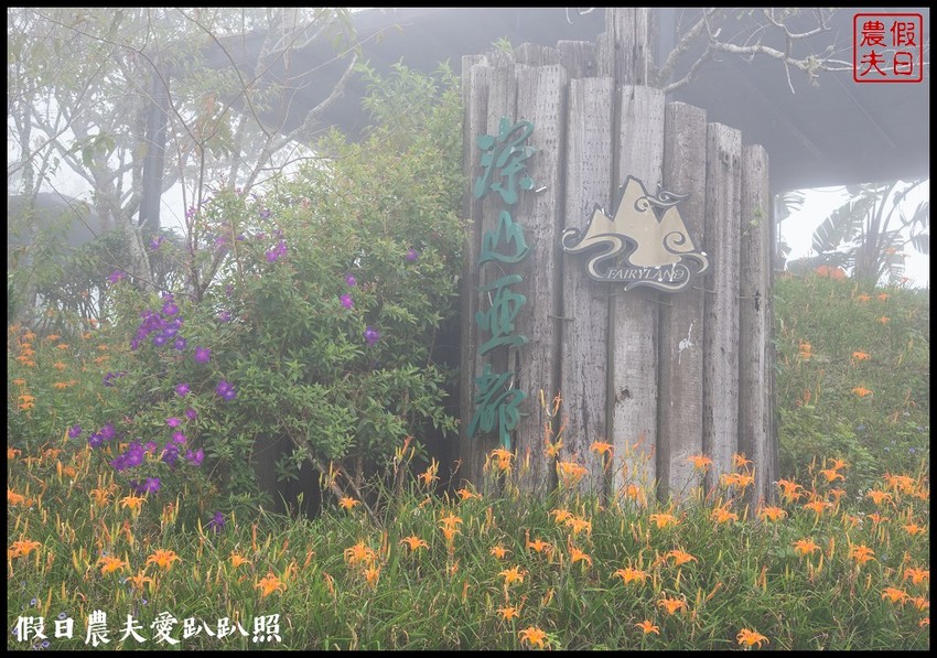 台東景點|太麻里金針山．季節限定的美麗/曙光渡假酒店/半日遊/一日遊