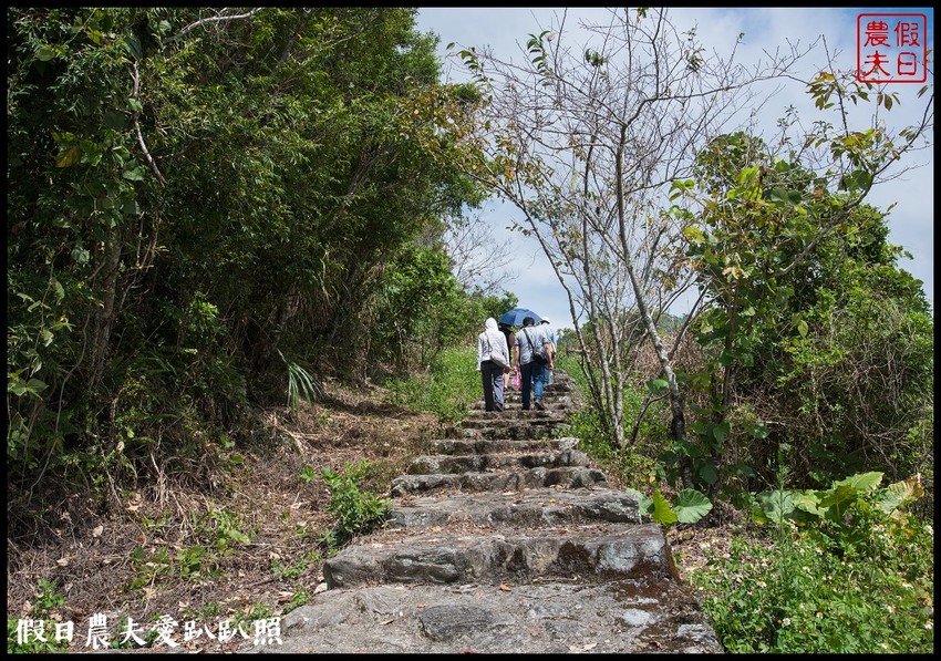 台東景點|太麻里金針山．季節限定的美麗/曙光渡假酒店/半日遊/一日遊