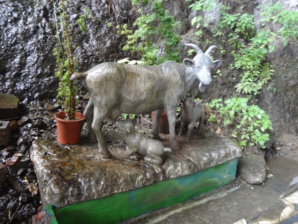 cm20131218___662cc2087e474d0b514b3b9d614