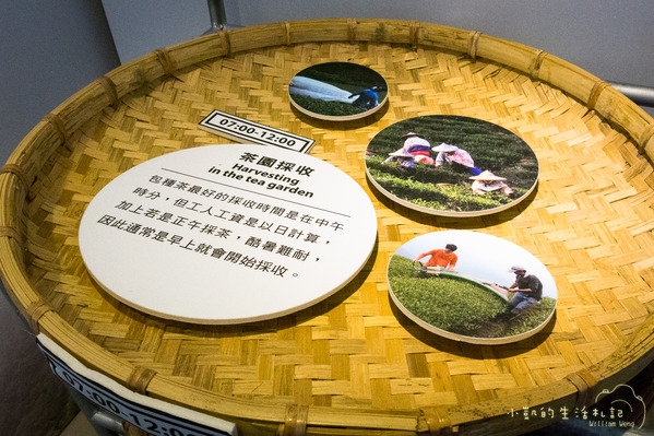 坪林一日遊 坪林茶業博物館 親水吊橋 藍色拱橋