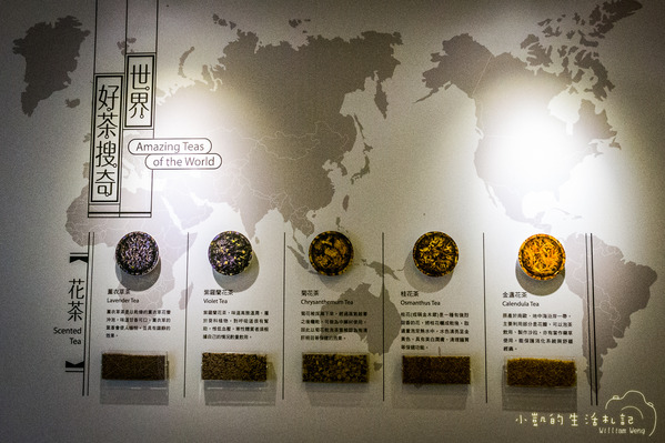 坪林一日遊 坪林茶業博物館 親水吊橋 藍色拱橋