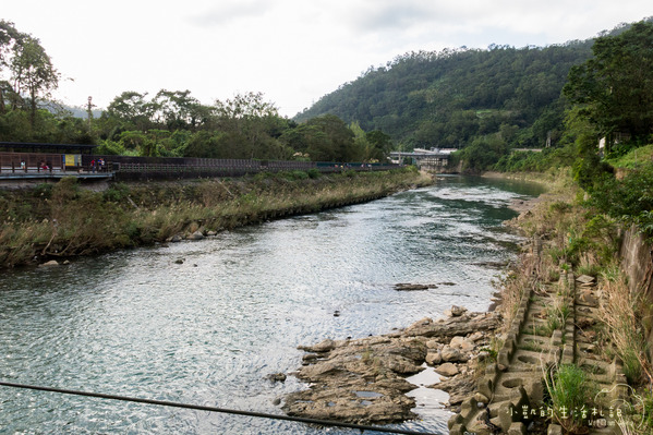 坪林一日遊 坪林茶業博物館 親水吊橋 藍色拱橋