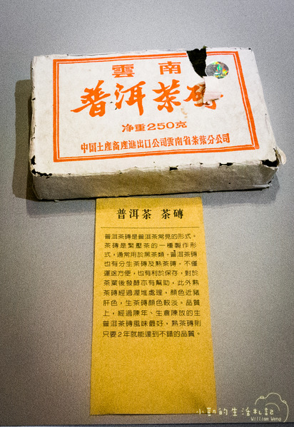 坪林一日遊 坪林茶業博物館 親水吊橋 藍色拱橋