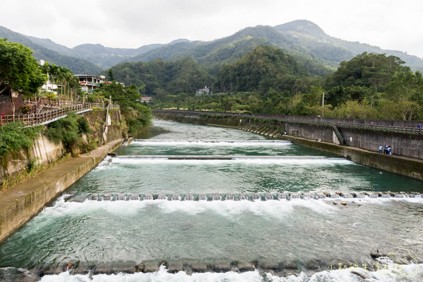 坪林一日遊 坪林茶業博物館 親水吊橋 藍色拱橋
