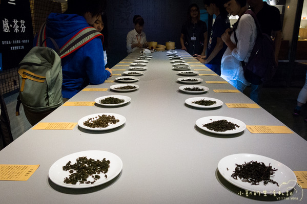 坪林一日遊 坪林茶業博物館 親水吊橋 藍色拱橋