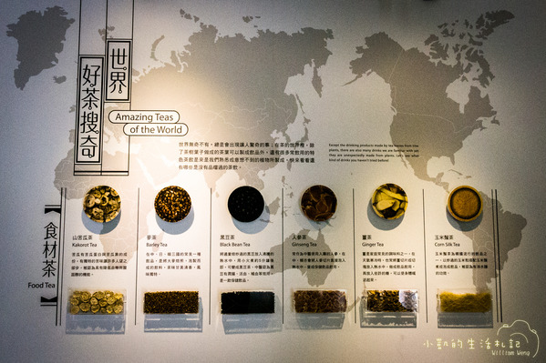 坪林一日遊 坪林茶業博物館 親水吊橋 藍色拱橋