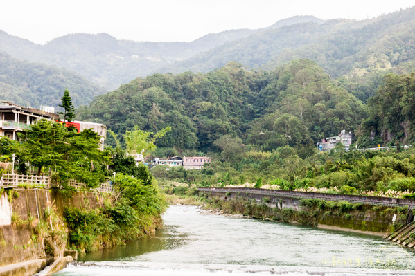 坪林一日遊 坪林茶業博物館 親水吊橋 藍色拱橋