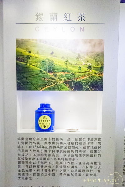 坪林一日遊 坪林茶業博物館 親水吊橋 藍色拱橋