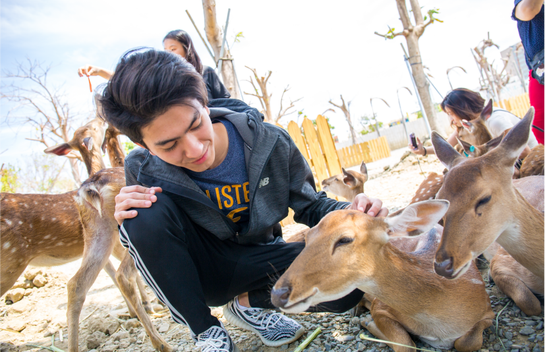 恆春旅遊 恆春景點推薦 恆春鹿境 恆春小奈良 恆春必玩