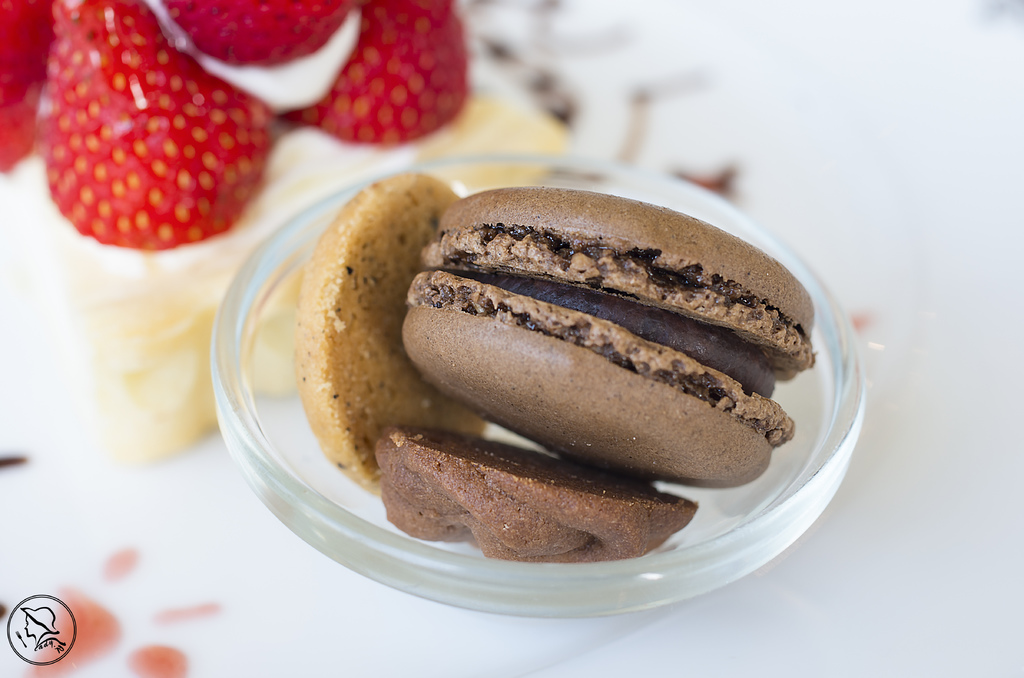 IMGP0677.jpg IMGP0677.jpg