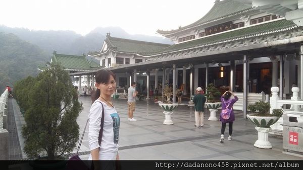 承天禪寺:土城承天禪寺油桐花步道