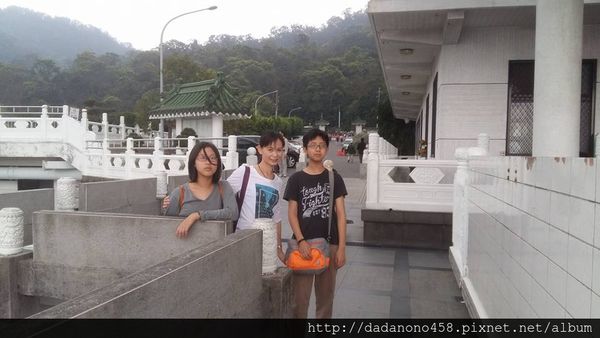 承天禪寺:土城承天禪寺油桐花步道