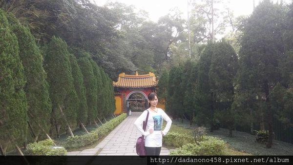 承天禪寺:土城承天禪寺油桐花步道