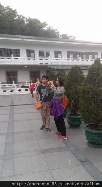 承天禪寺:土城承天禪寺油桐花步道