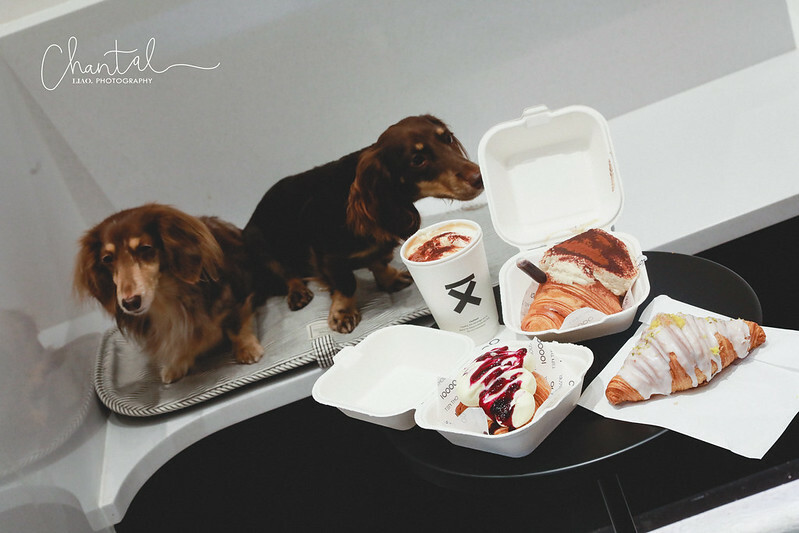 _J6A2185拷貝-2 拷貝