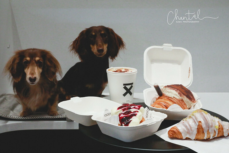 _J6A2204拷貝-2 拷貝