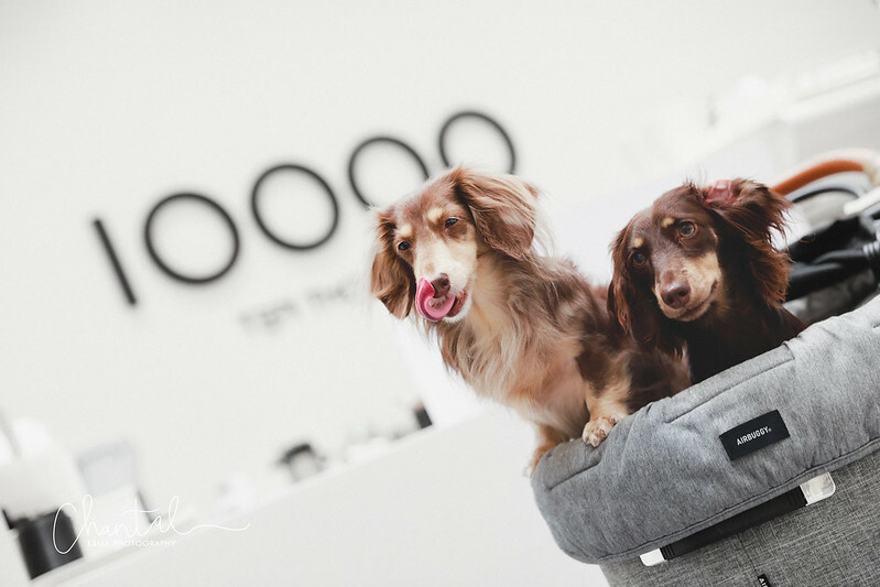 _J6A2142拷貝-2 拷貝