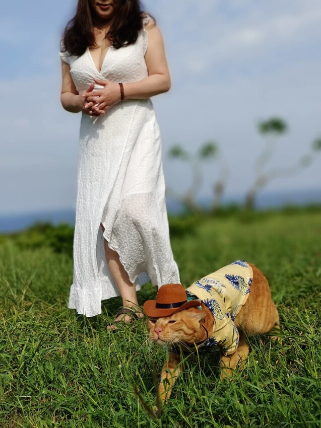 364588.jpg - 【屏東.小琉球】寵物友善住宿。地中海海景民宿。早餐吃到飽+草皮超美+無敵海景+網美泳池