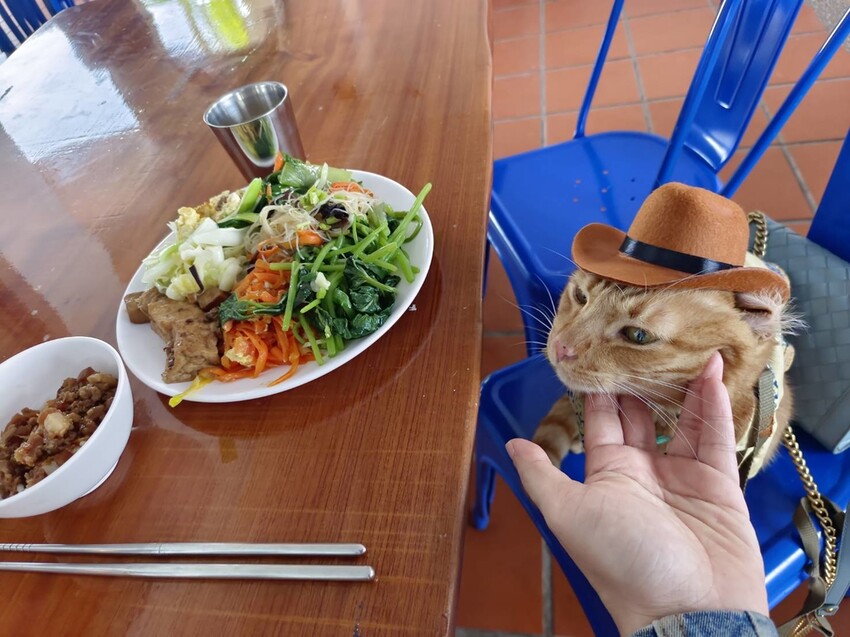 364861.jpg - 【屏東.小琉球】寵物友善住宿。地中海海景民宿。早餐吃到飽+草皮超美+無敵海景+網美泳池