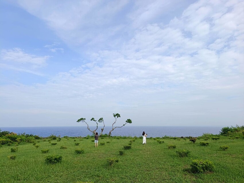 364859.jpg - 【屏東.小琉球】寵物友善住宿。地中海海景民宿。早餐吃到飽+草皮超美+無敵海景+網美泳池