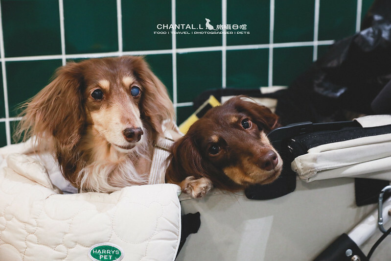 1J6A5943-2 拷貝 1J6A5943-2 拷貝