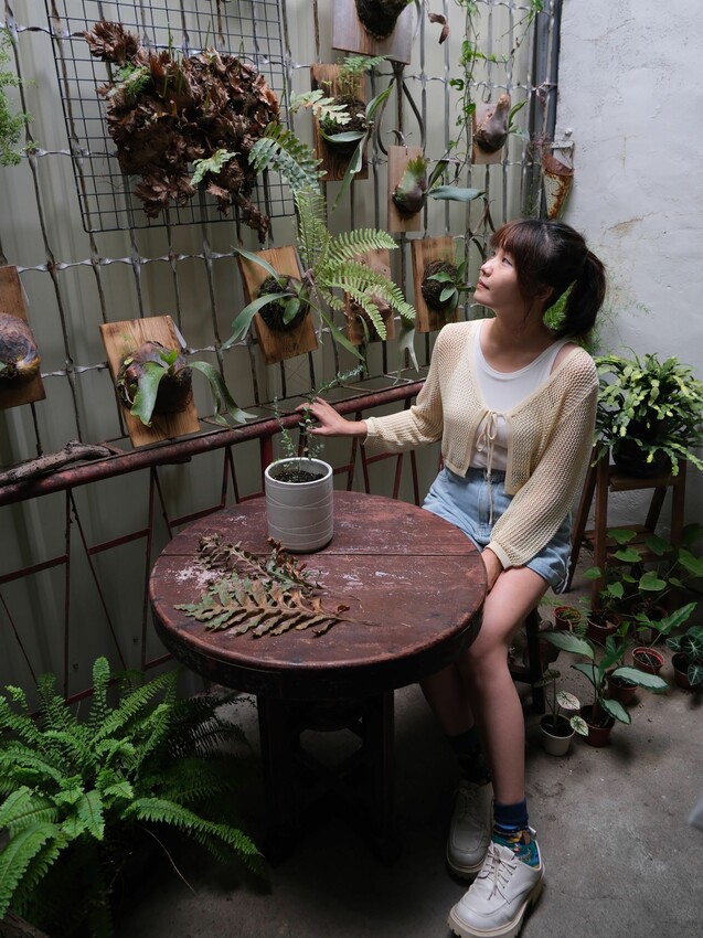 [台中西屯] Mook木可餐行｜隱身在巷弄內60年老宅｜無招牌手作早午餐店｜必點法式正統舒芙蕾｜寵物有善餐廳｜內附菜單 - 萍姐愛分享