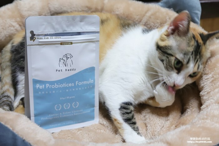 屏東手搖飲料 – 龜記茗品屏東民生店 極品紅茶 一喝讓你無法停下來