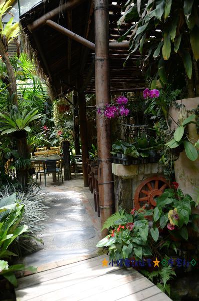 DSC_8148.JPG DSC_8148.JPG