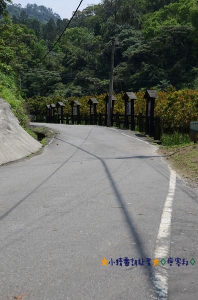 DSC_8100.JPG DSC_8100.JPG