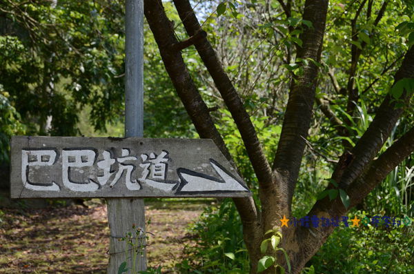 DSC_8097.JPG DSC_8097.JPG