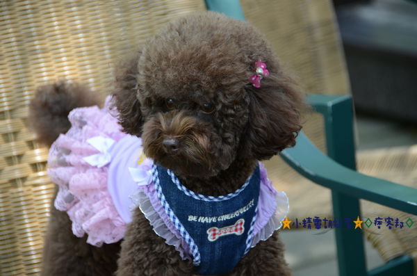 DSC_8087.JPG DSC_8087.JPG