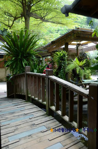 DSC_8119.JPG DSC_8119.JPG