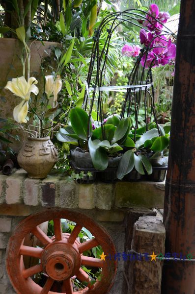 DSC_8154.JPG DSC_8154.JPG