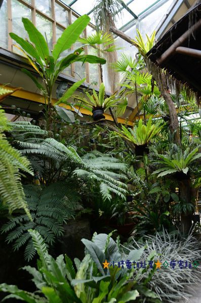 DSC_8149.JPG DSC_8149.JPG