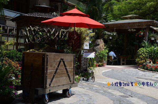 DSC_8109.JPG DSC_8109.JPG