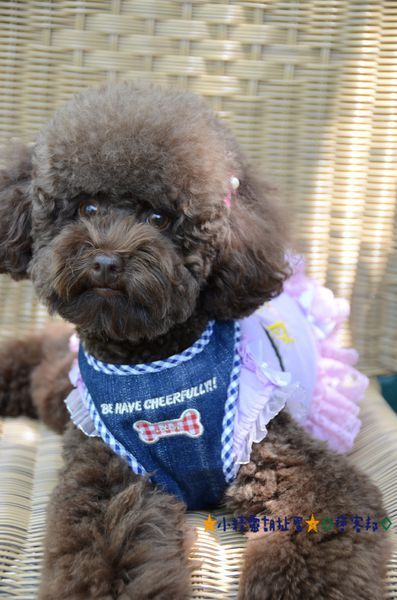 DSC_8081.JPG DSC_8081.JPG