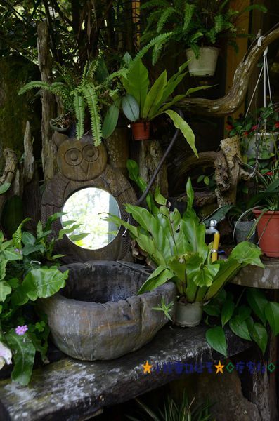 DSC_8132.JPG DSC_8132.JPG