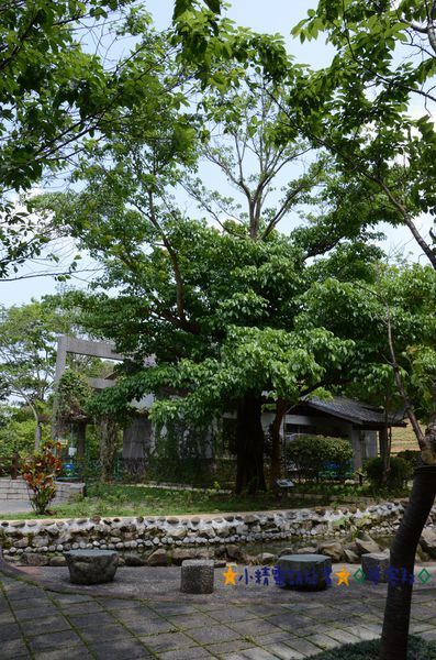 DSC_8061.JPG DSC_8061.JPG