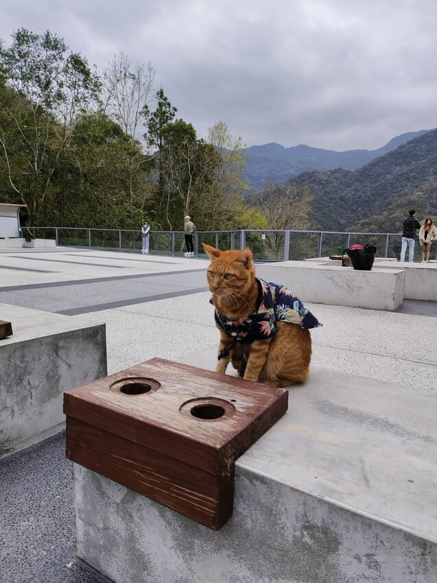 44388.jpg - 【新竹.尖石】日見森嵐景觀餐廳。寵物友善可落地。火鍋+簡餐+咖啡+戶外空間超美