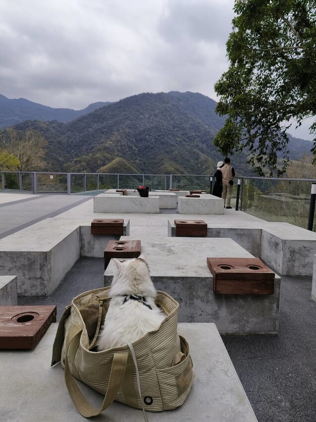 44390.jpg - 【新竹.尖石】日見森嵐景觀餐廳。寵物友善可落地。火鍋+簡餐+咖啡+戶外空間超美