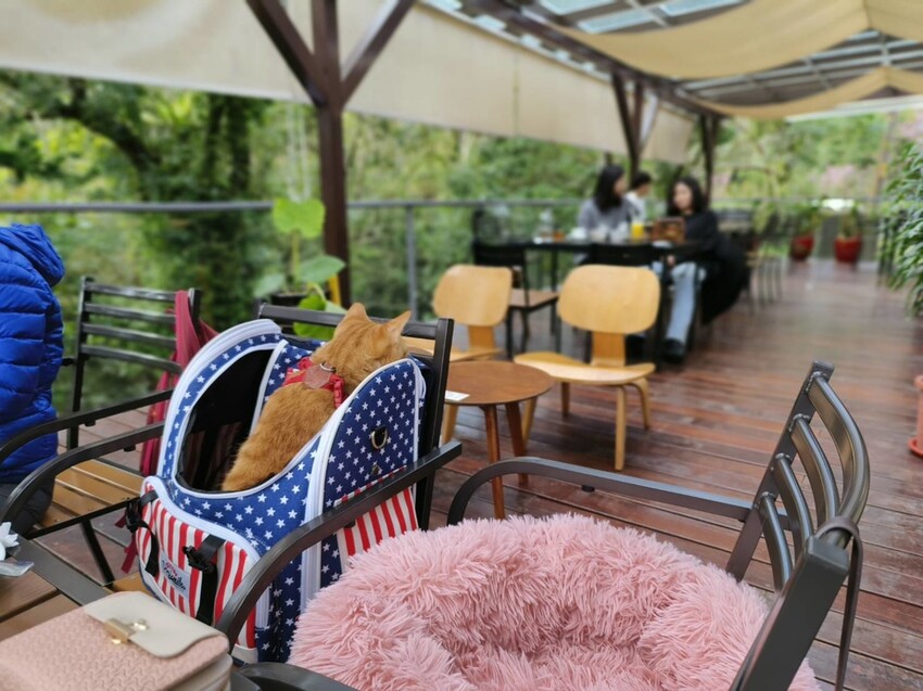 44370.jpg - 【新竹.尖石】日見森嵐景觀餐廳。寵物友善可落地。火鍋+簡餐+咖啡+戶外空間超美