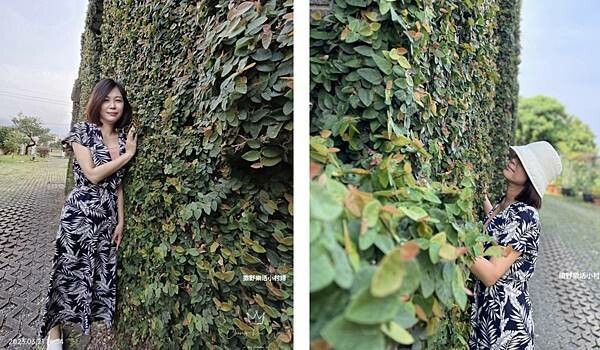 有溫度的生活小販所【ㄊㄡㄊㄡ來】冬山咖啡民宿|下午茶|甜點手