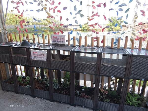 嘉義縣東石鄉嘉義美食 烤蚵吃到飽推薦【塭ㄚ烤蚵呷通海】肥美的東石鮮蚵 現做熱炒美食 還有兒童遊戲區 全家歡樂烤蚵趣