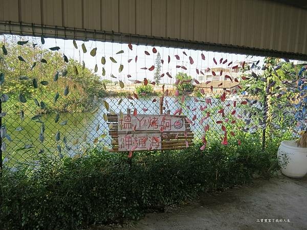 嘉義縣東石鄉嘉義美食 烤蚵吃到飽推薦【塭ㄚ烤蚵呷通海】肥美的東石鮮蚵 現做熱炒美食 還有兒童遊戲區 全家歡樂烤蚵趣