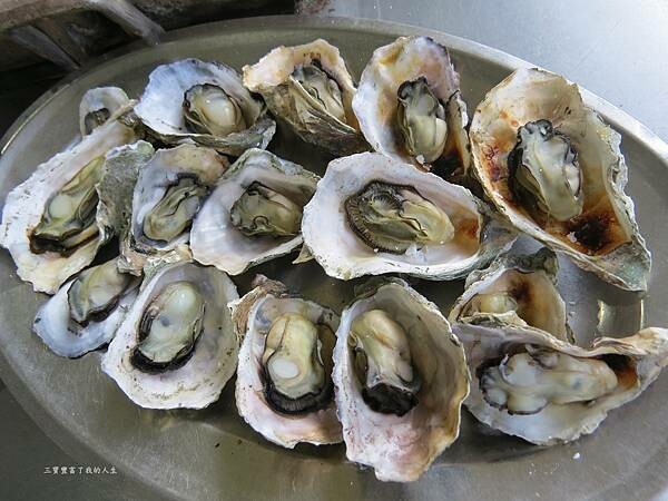 嘉義縣東石鄉嘉義美食 烤蚵吃到飽推薦【塭ㄚ烤蚵呷通海】肥美的東石鮮蚵 現做熱炒美食 還有兒童遊戲區 全家歡樂烤蚵趣