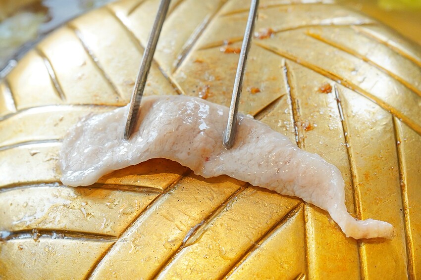 彰化縣員林市彰化員林人氣火烤兩吃,結合泰式火鍋與銅盤烤肉,老饕激推滿滿椰漿「泰式典藏椰奶鍋」!