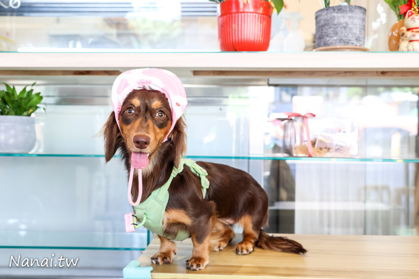 豆花每天手工製作,太晚來吃不到!厚厚大塊豆花Q嫩綿密,還有方塊粉圓外面吃不到,搭配熱壓吐司升等套餐不用百元