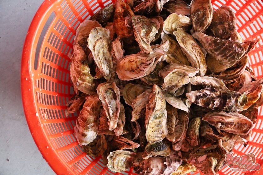 【台南吃到飽】上蠔烤蚵吃到飽！200元烤蚵吃到飽，平日不限時讓你爽吃一波~ - 熱血玩台南。跳躍新世界